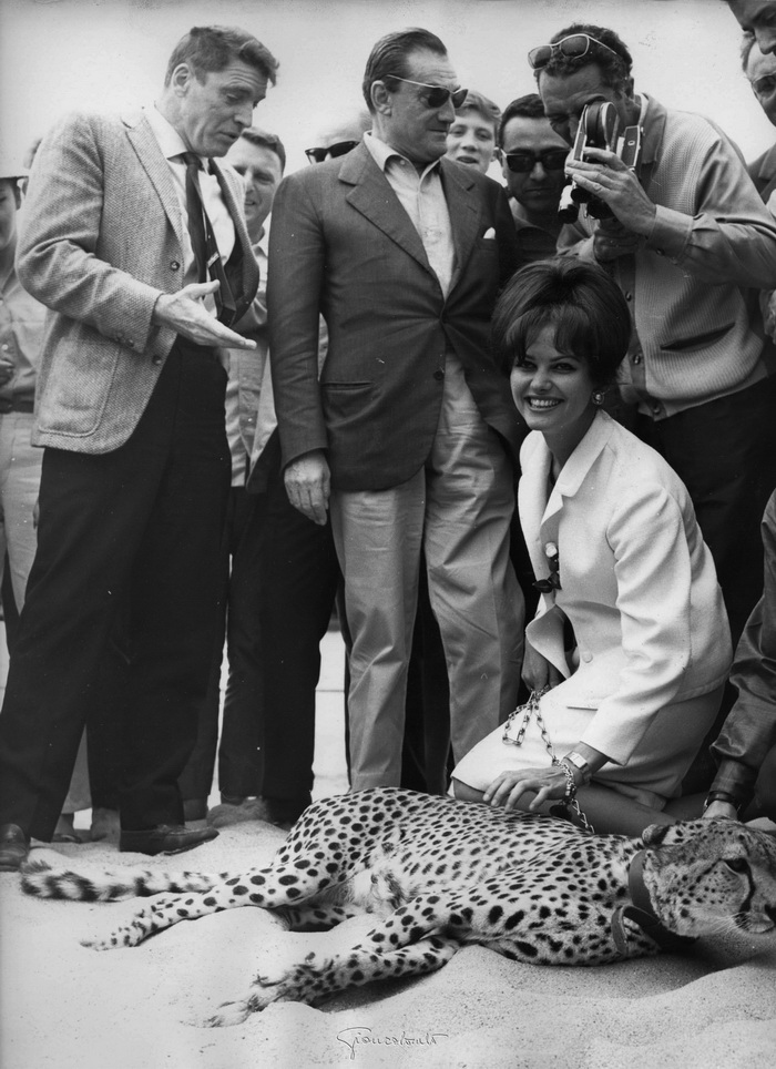 Giancolombo, Luchino Visconti, Claudia Cardinale e Burt Lancaster presentano Il Gattopardo, Festival del Cinema di Cannes, 1963. © Giancolombo