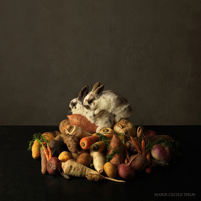 Marie Cécile Thijs, Rabbit's Paradise. © Marie Cécile Thijs