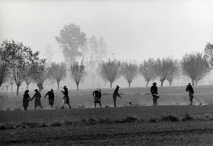 Gianni Berengo Gardin, Polesine, Veneto, 1966. © Gianni Berengo Gardin