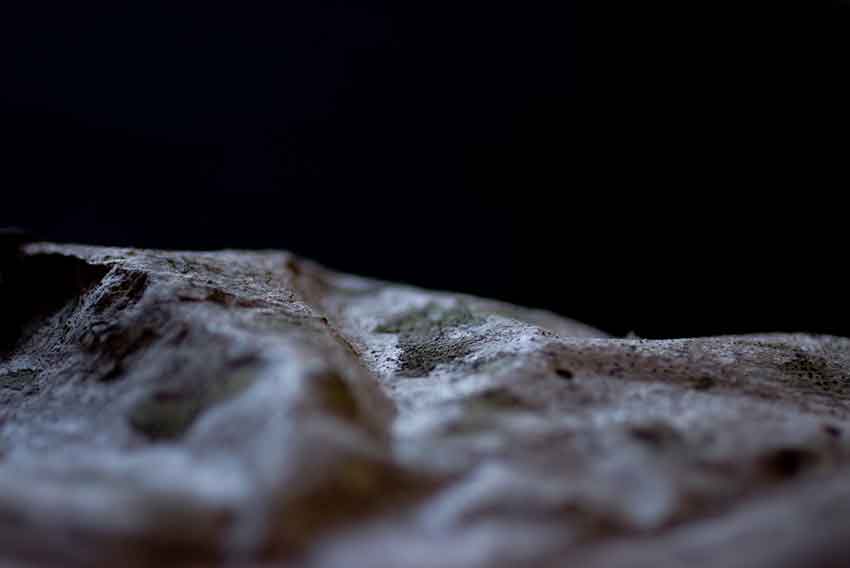 Dalla mostra Microcosmiche affabulazioni di Mattia Morelli. © Mattia Morelli