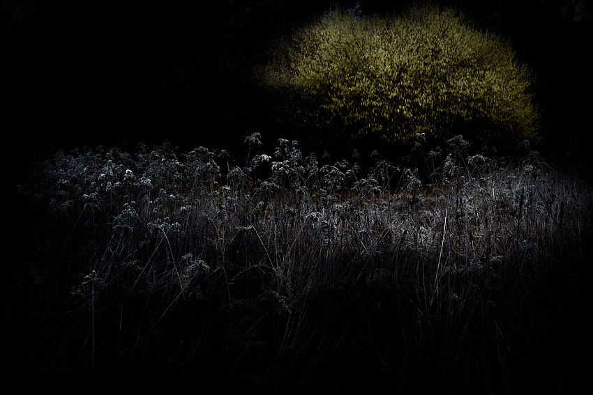 Erminio Annunzi, da Nel buio si cela la luce. © Erminio Annunzi.